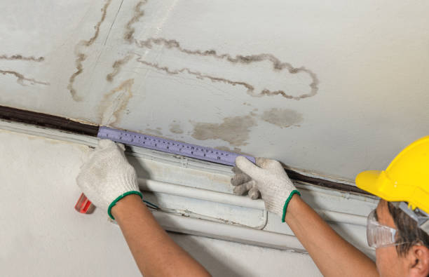 Reliable Mold Remediation contractor in Lombard, IL by Water Damage Irwin